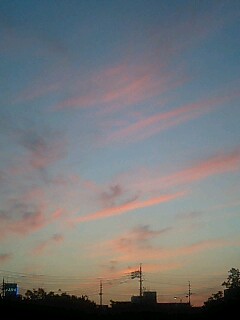 071109_1718~0001.jpg
